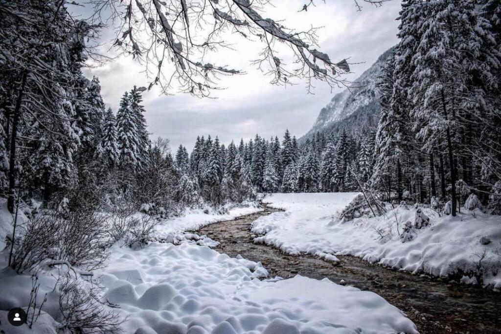 Hisa Borov Gaj Mojstrana